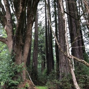 Meet your Posher, Lina